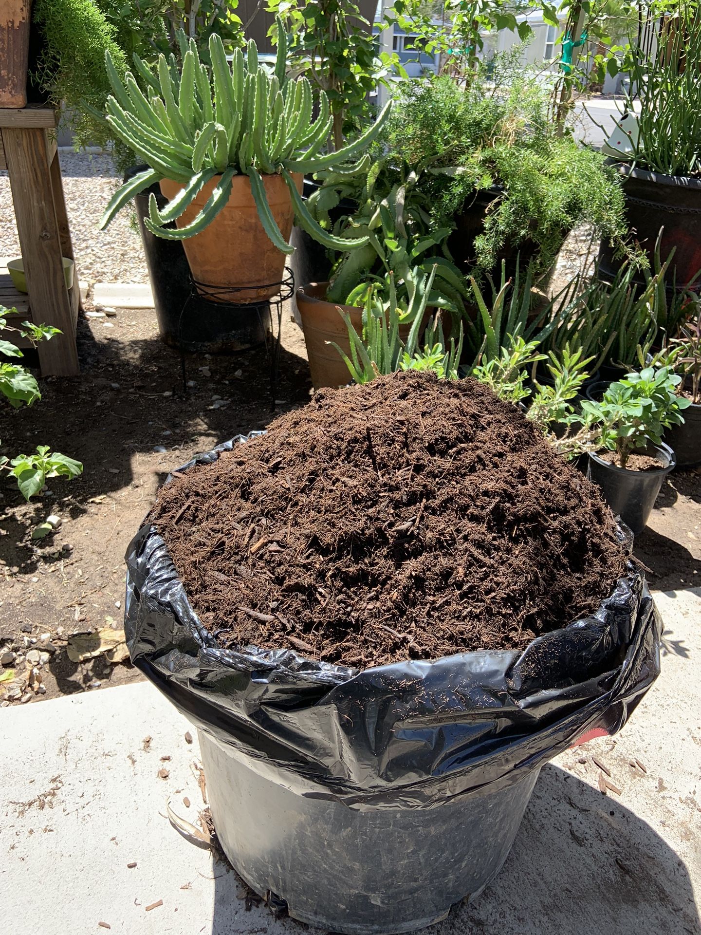 Organic Rich Garden Compost Soil for Sale in Las Vegas, NV OfferUp