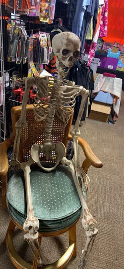Halloween life size skeleton$15! Needs touch of hot glue on neck.