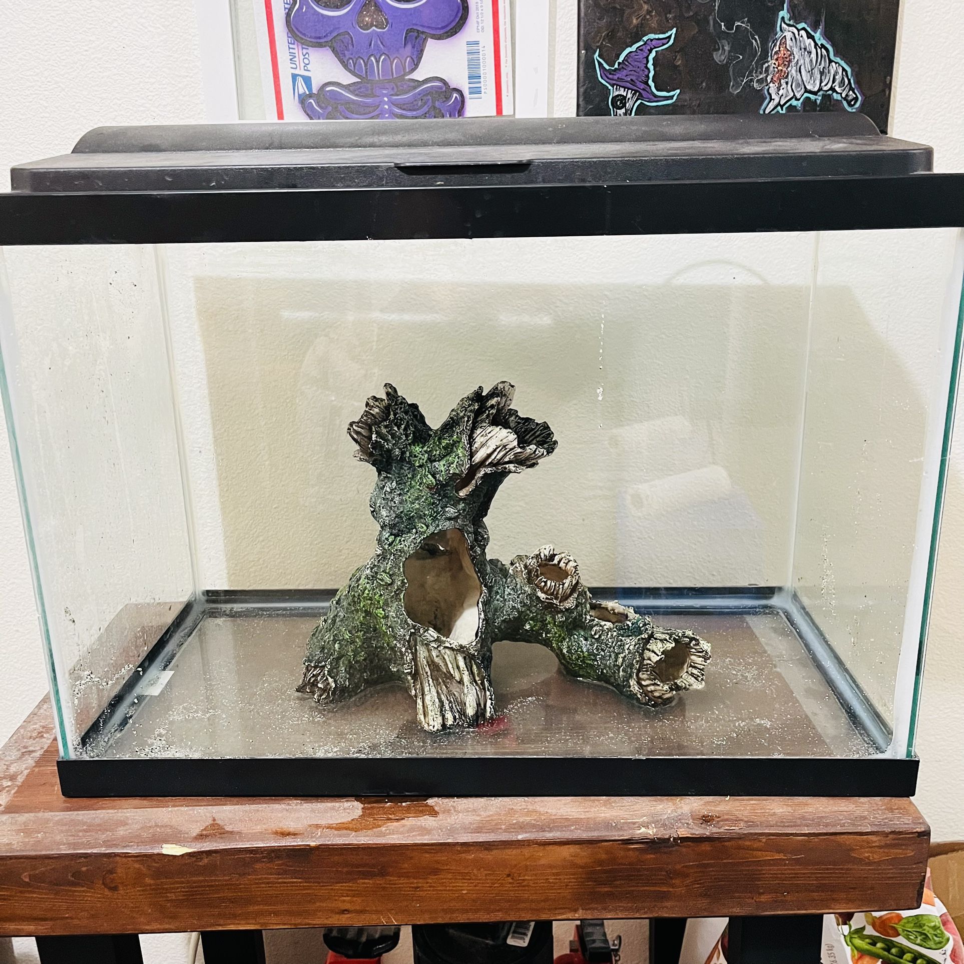 20 Gallon Tank