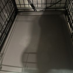 Dog Crate with Cover