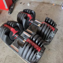 Bowflex Dumbells