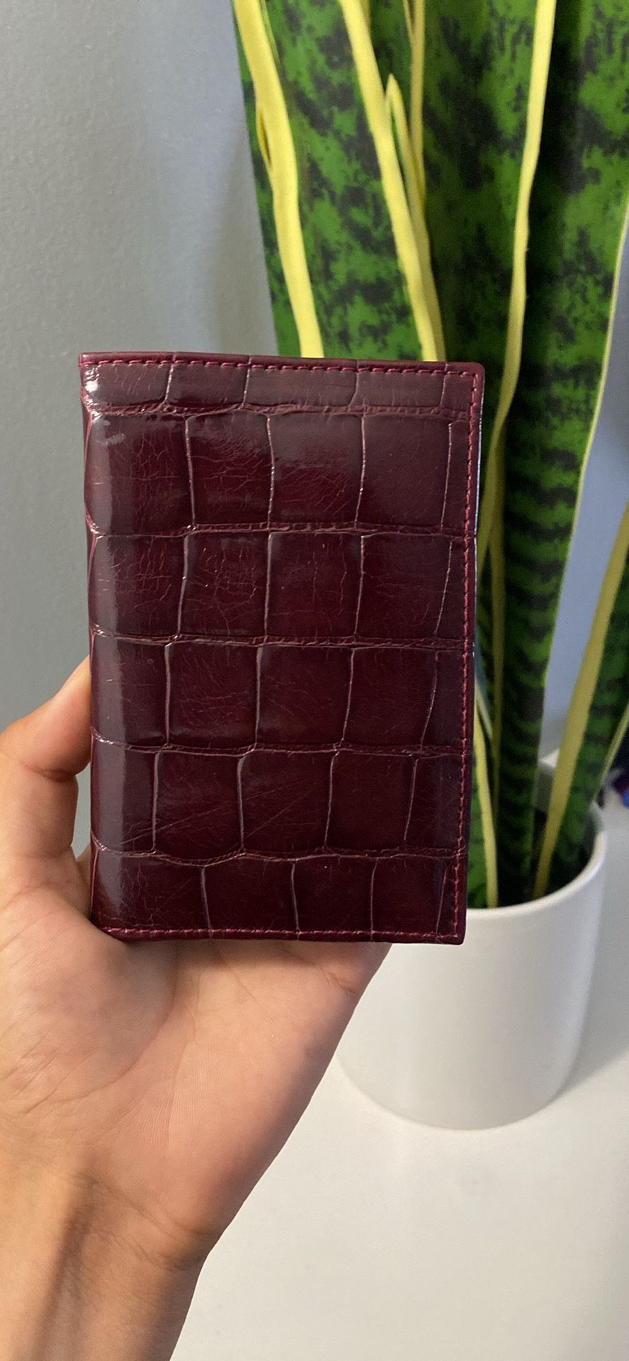Alligator Skin Wallet