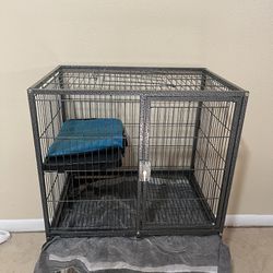 Animal Cage 