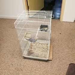 Bird Cackatoo Beatiful With Cage