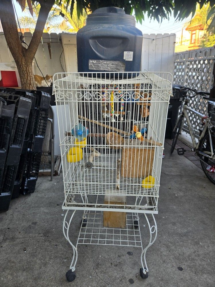 Bird Cage