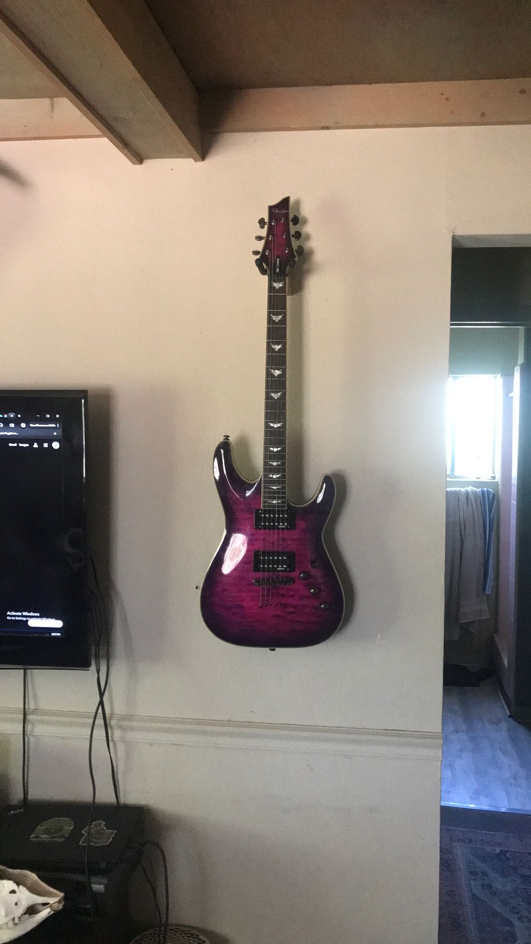 Schecter Electric Guitar Beautiful