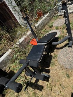 Bench Press