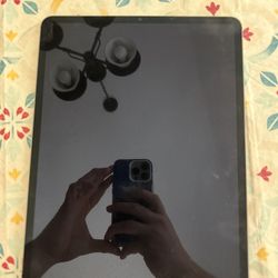 iPad Pro 13 Inch 256gb