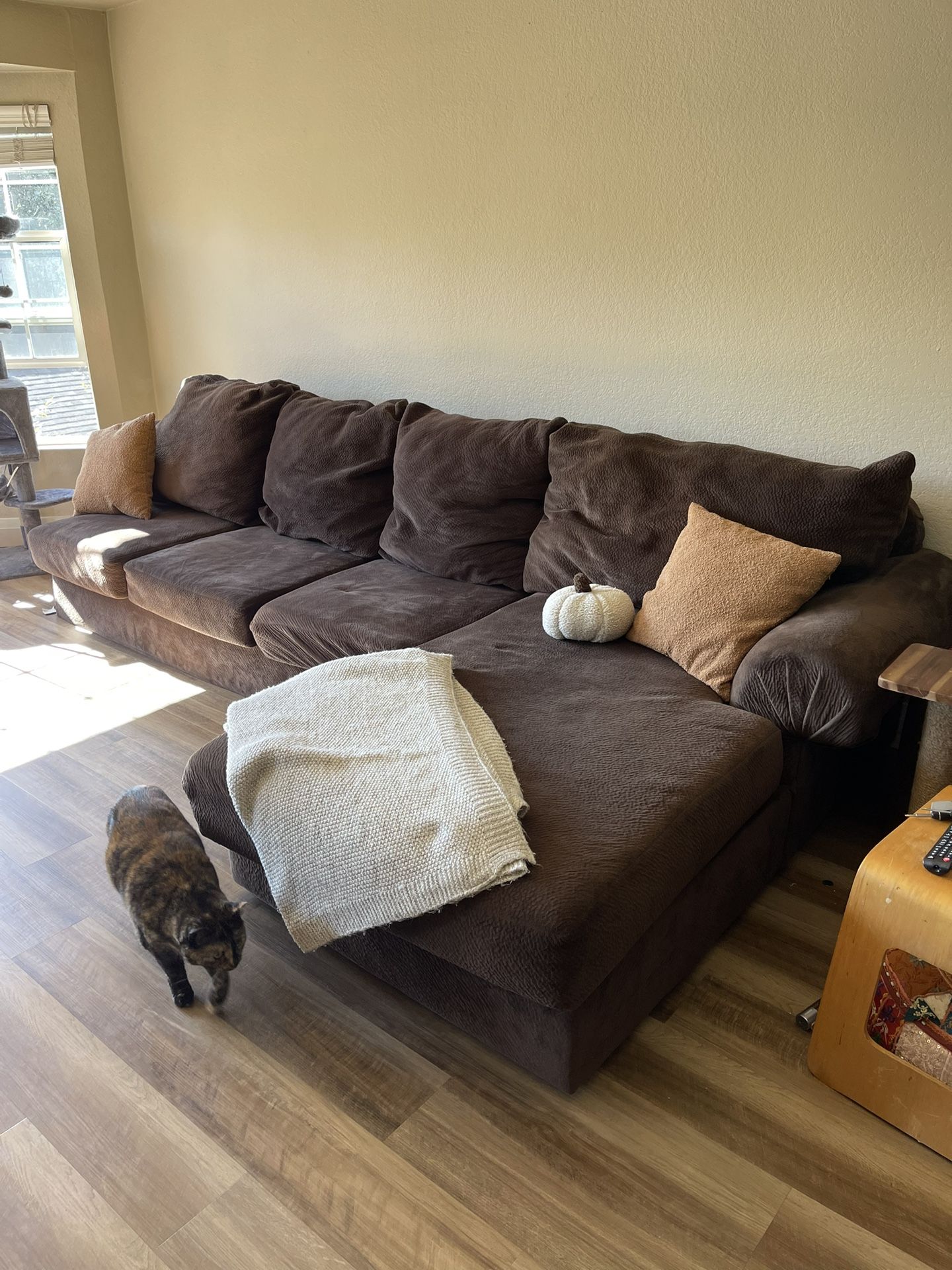 brown sectional couch