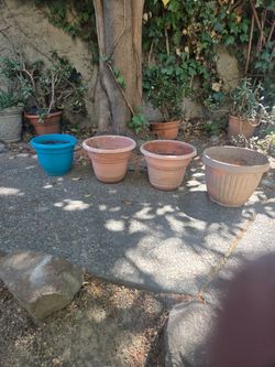Planters