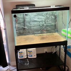 60-65 Gallon Aquarium With Stand 