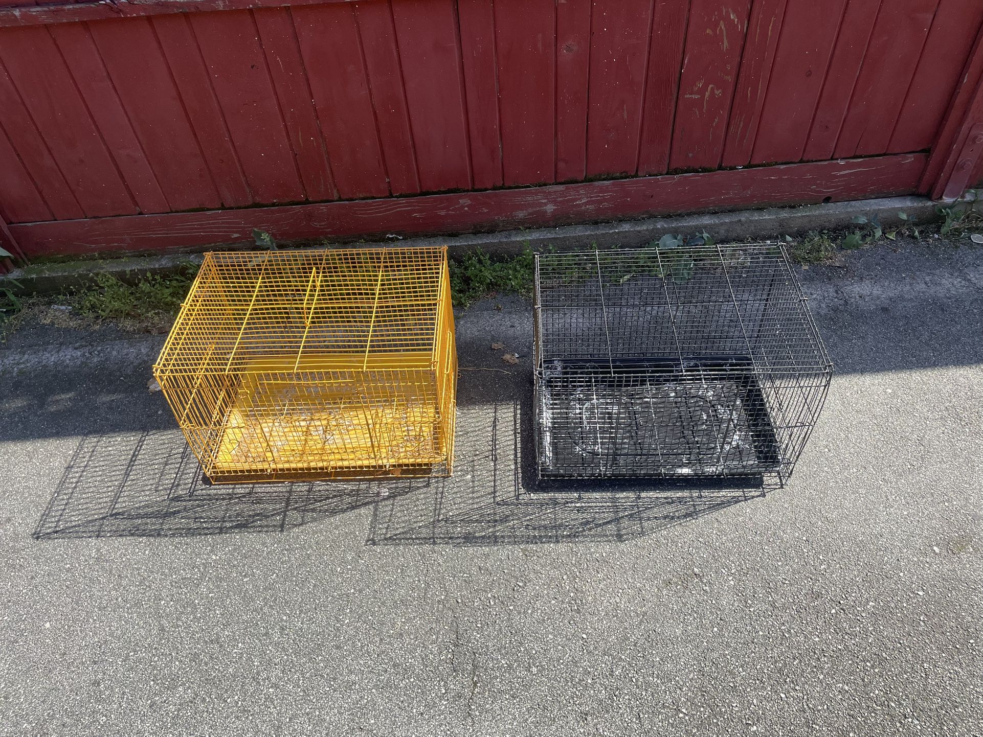 Bird Cage