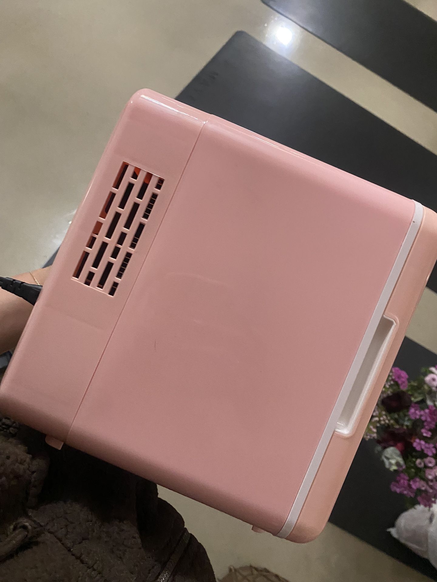 Pink Princess Mini Fridge