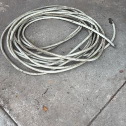 Garden Hose