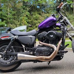2004 Harley Davidson 883 (kit expanded to 1250)
