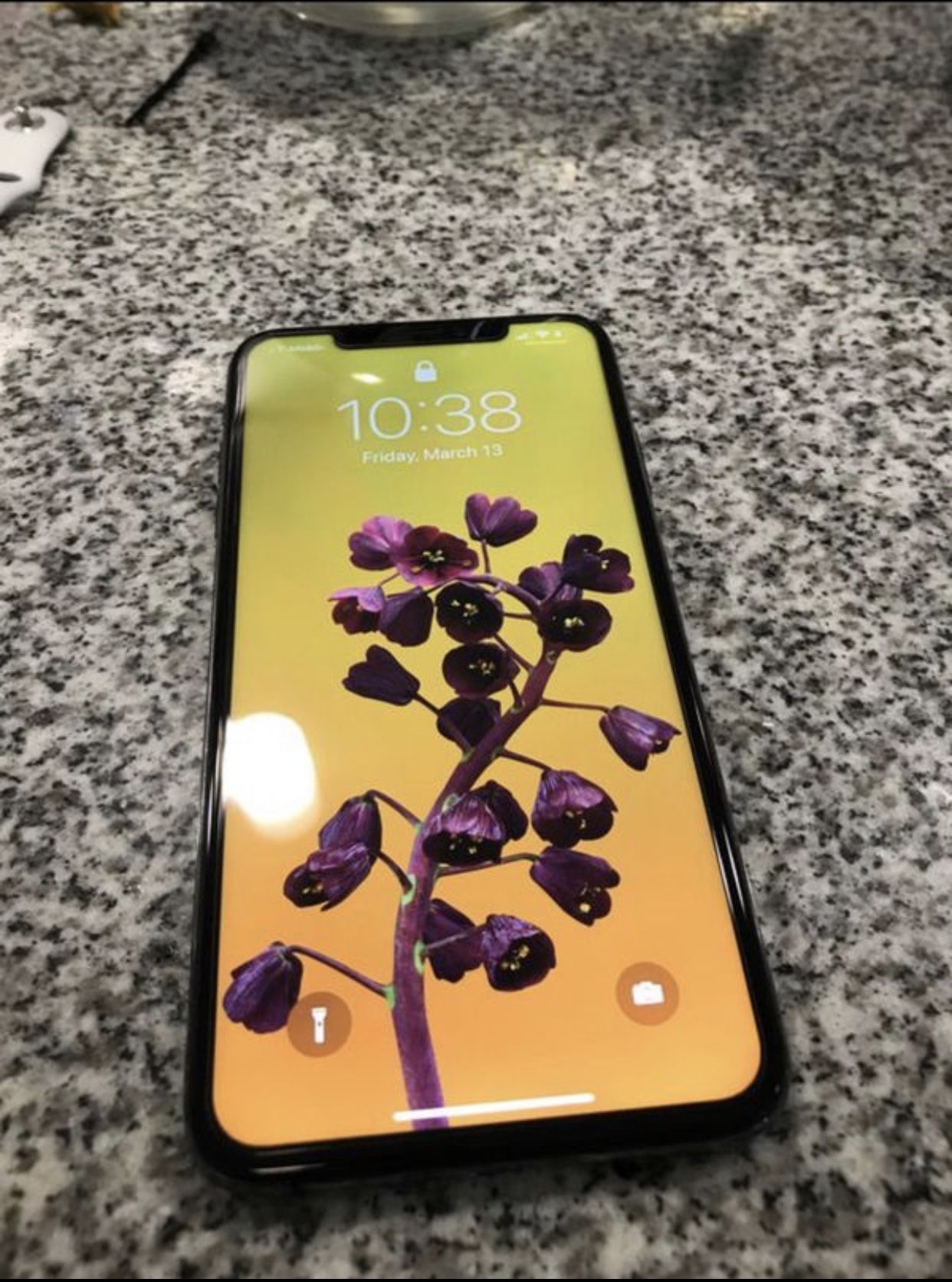 iPhone XS Max