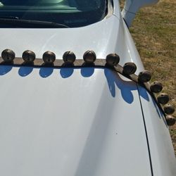 Jingle Bells 30 of Them on Leather 6ft Long