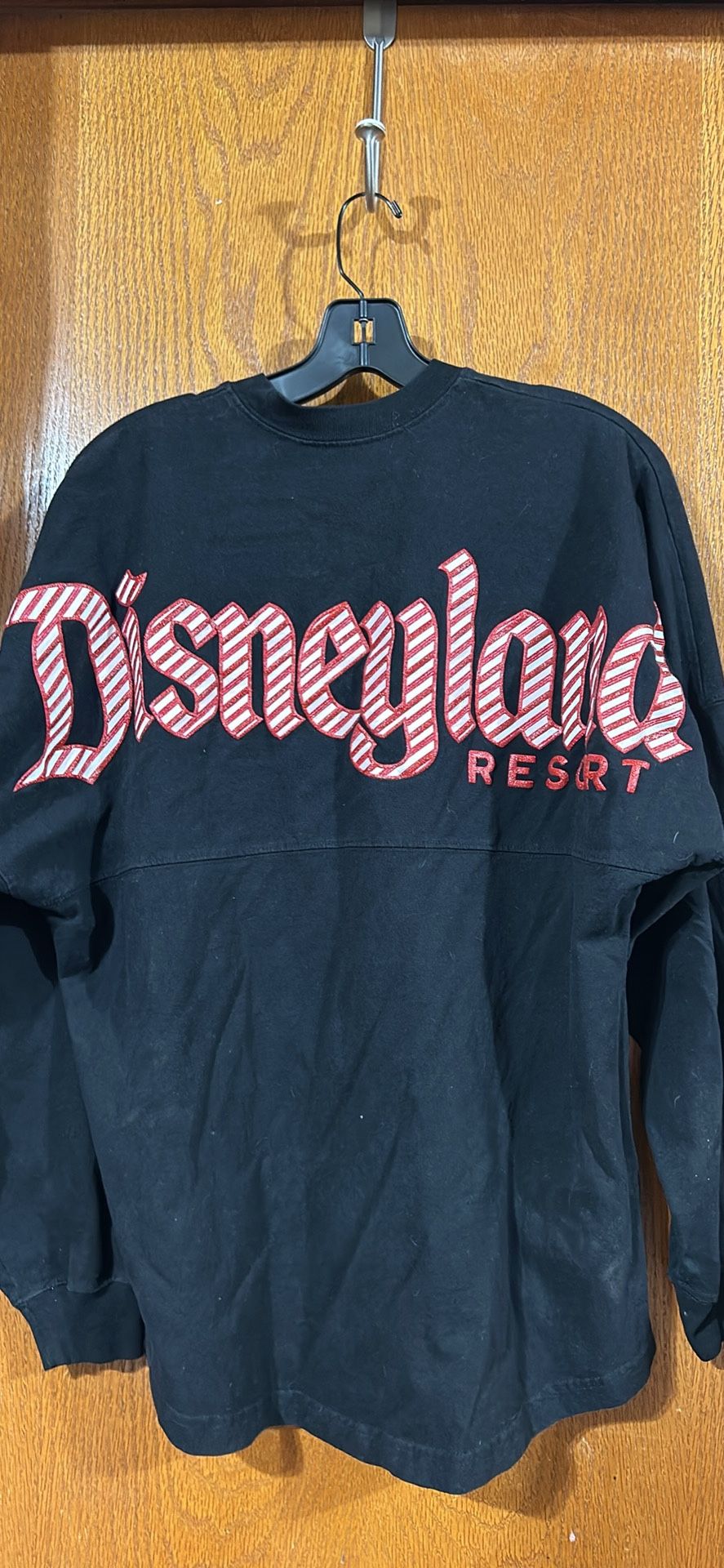 Disneyland Spirit Jersey