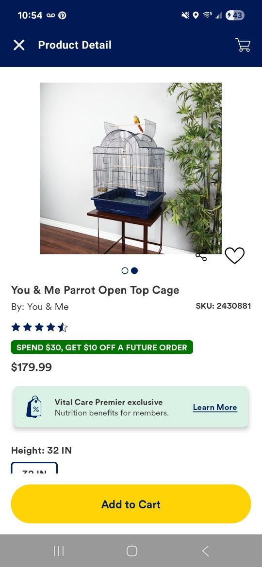 Conure Or Cockatiel Cage