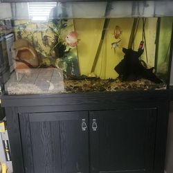 110 Gal Fish Tank With Canopy 