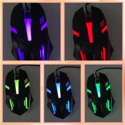Mouse multicolor
