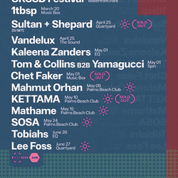 Saturday CRSSD Ticket (3/14)