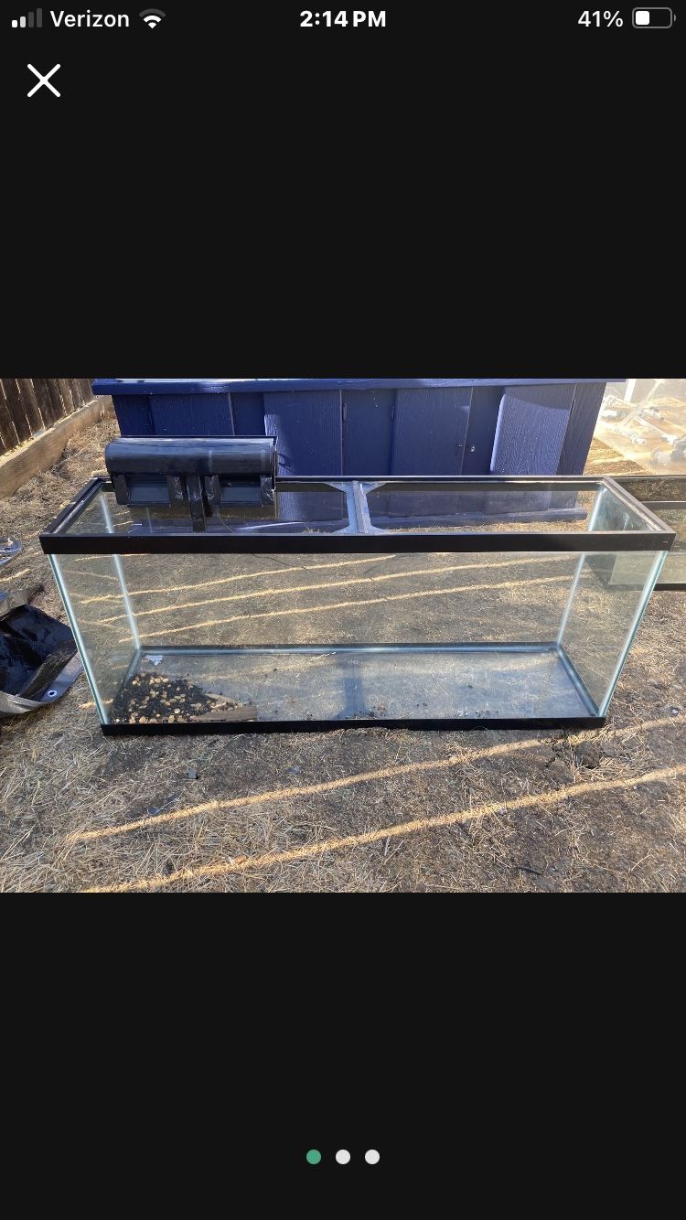 55 Gallon Fish Tank