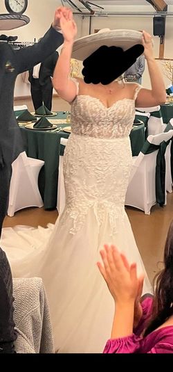 Formal Gown, Shoes, Clothes. More