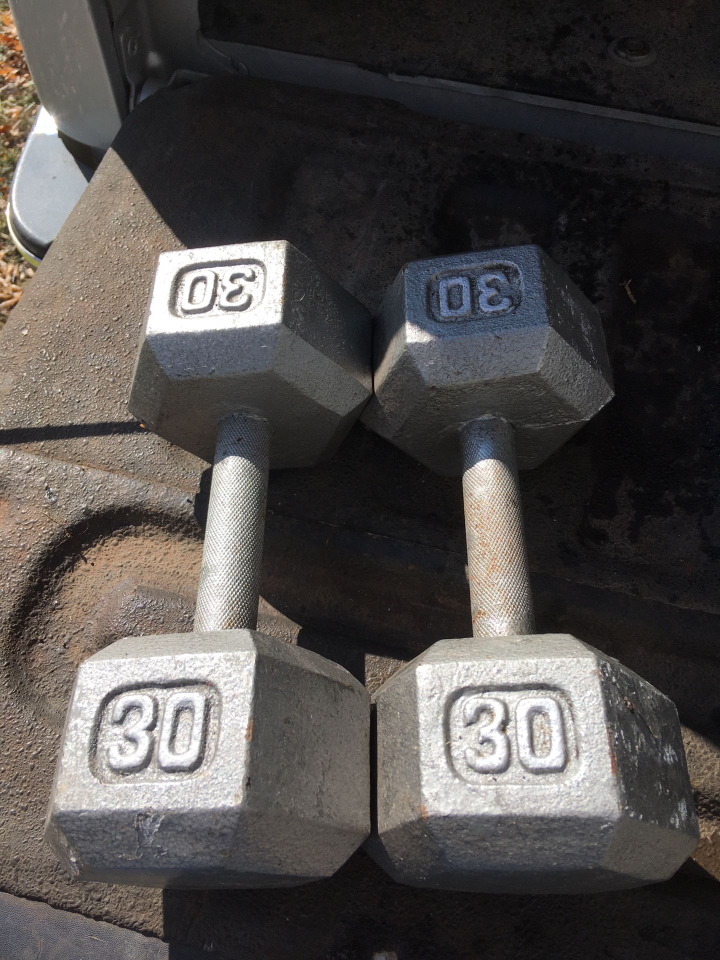 30 Lb. Dumbbells