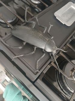 Cockroach Replica