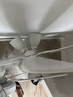 2 white Fans