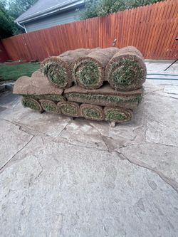 Fresh Kentucky Bluegrass Sod – 27 Rolls (270 Sq. Ft.)