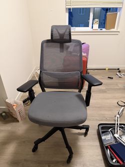 Flexispot Office Chair