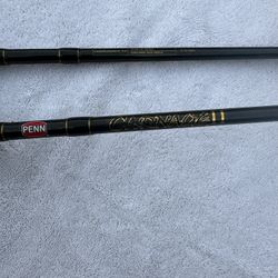 Penn Carnage Spin Cast Rod 