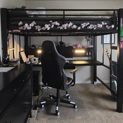 Avalon Loft Bed/Workstation Great Condition