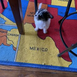 😍 BEST FRIEND  🎁  SHE’s  😍BEAUTIFUL  $500