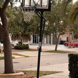 Lifetime basketball Hoop