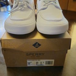 Sperry Men Shoes