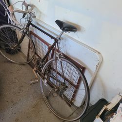 Schwinn Bike Continental