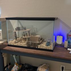 Glass Aquarium / Tank 