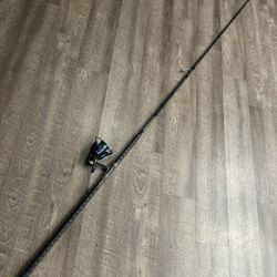 Daiwa Coastal 10’/  Kast  King Centurion 5000 Spinning Combo. Fishing 