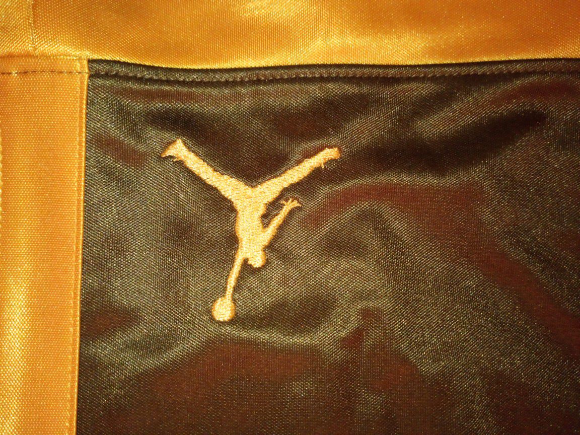 Air Jordan matching shorts and pants