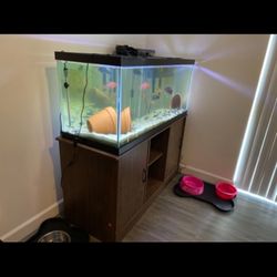 Fish Tank 75 Gallon (complete W Filter Wooden Stand And Other Accessories ) 