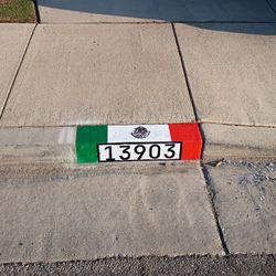 Mexican Flag