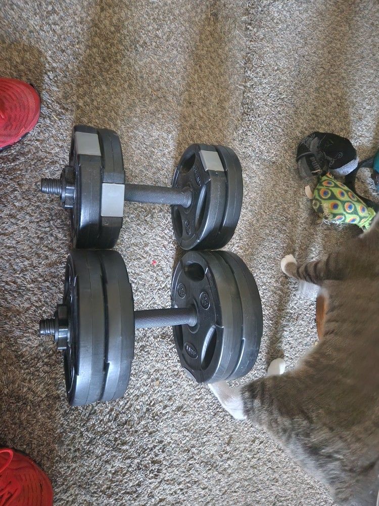 Weights