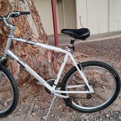 Vintage XL Comfort Cruiser Bike: Gary Fisher Napa