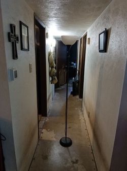 Olive oyl floor lamp