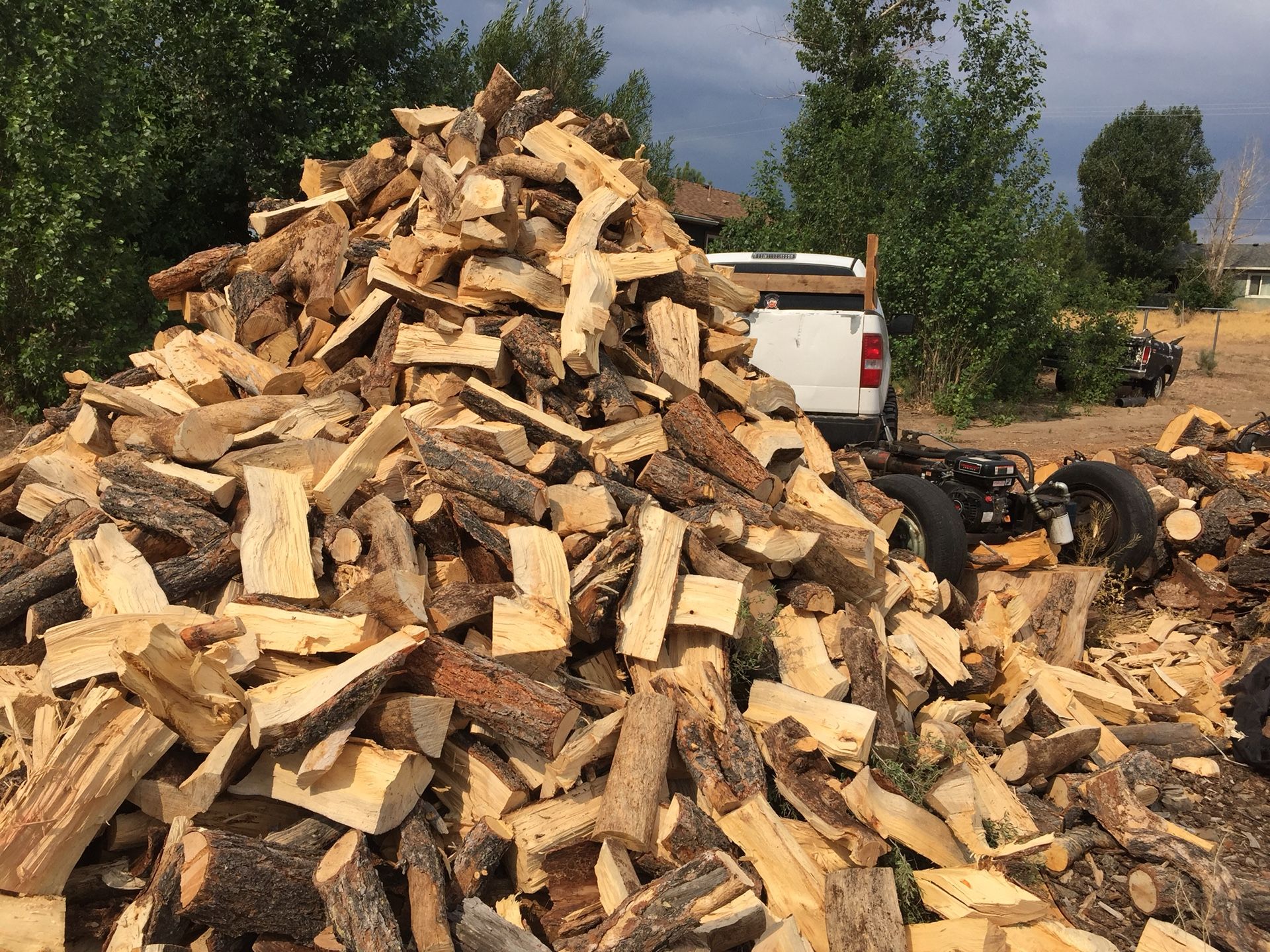 Pinyon pine firewood
