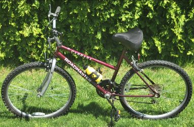 18 speed adult bike price dropped shifts brakes and rides good