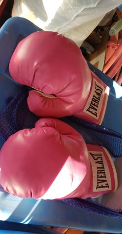 Everlast Boxing Gloves New